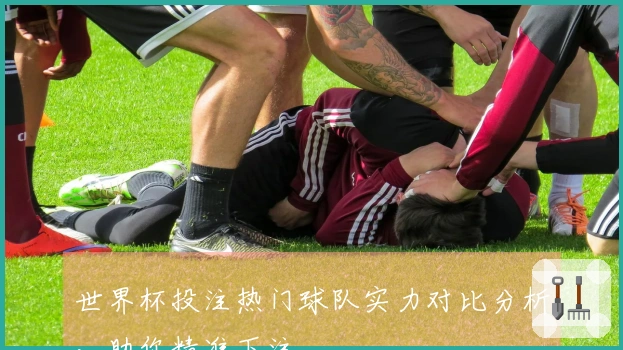 世界杯投注热门球队实力对比分析，助你精准下注