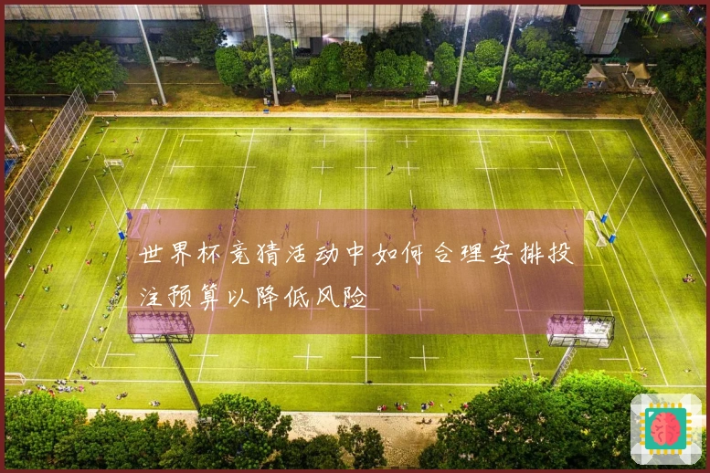 世界杯竞猜活动中如何合理安排投注预算以降低风险
