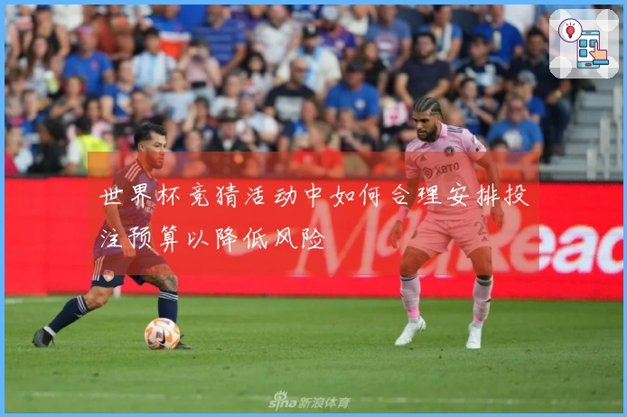 世界杯竞猜活动中如何合理安排投注预算以降低风险