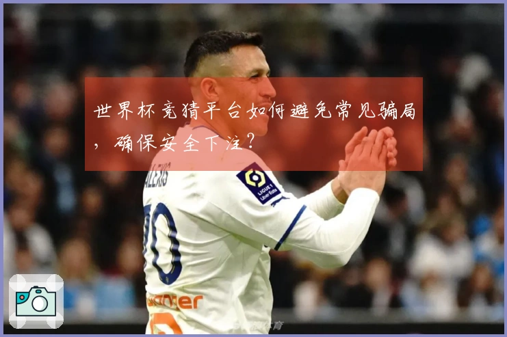 世界杯竞猜平台如何避免常见骗局，确保安全下注？