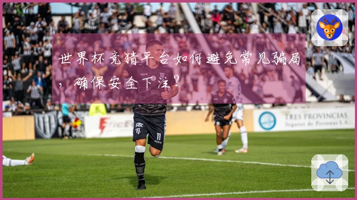 世界杯竞猜平台如何避免常见骗局，确保安全下注？