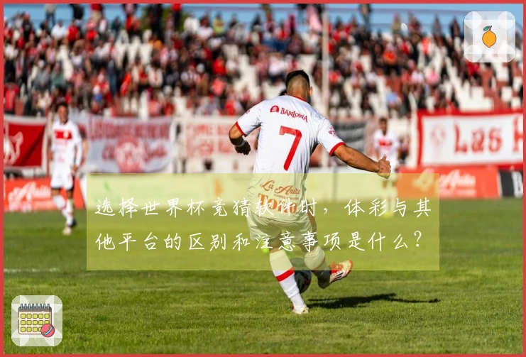 选择世界杯竞猜软件时，体彩与其他平台的区别和注意事项是什么？