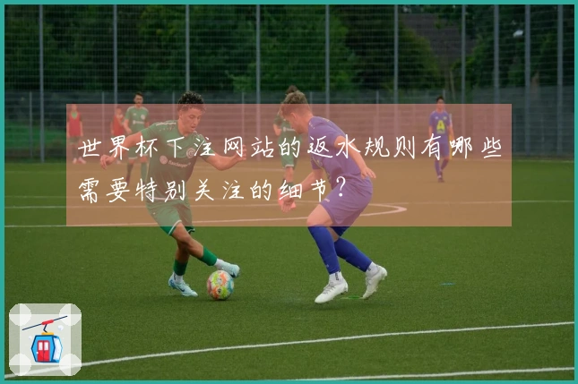 世界杯下注网站的返水规则有哪些需要特别关注的细节？
